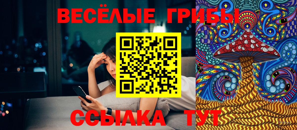 Псилоцибиновые грибы мицелий Ялта